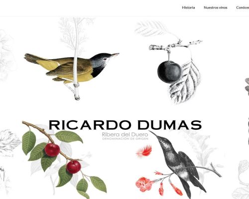 Ricardo Dumas tienda online y página web
